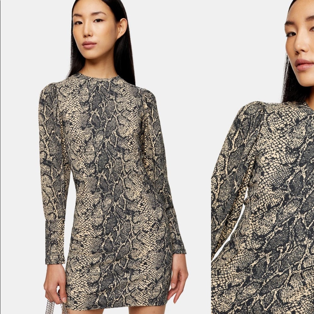 Never been worn snakeskin dress